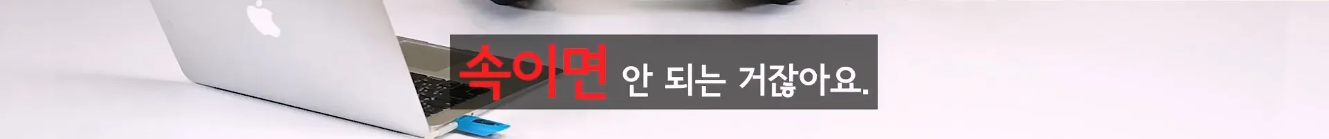 입질의 추억) 수산시장 내부자가 폭로하는 대게,킹크랩으로 사기 치는 방법.jpg