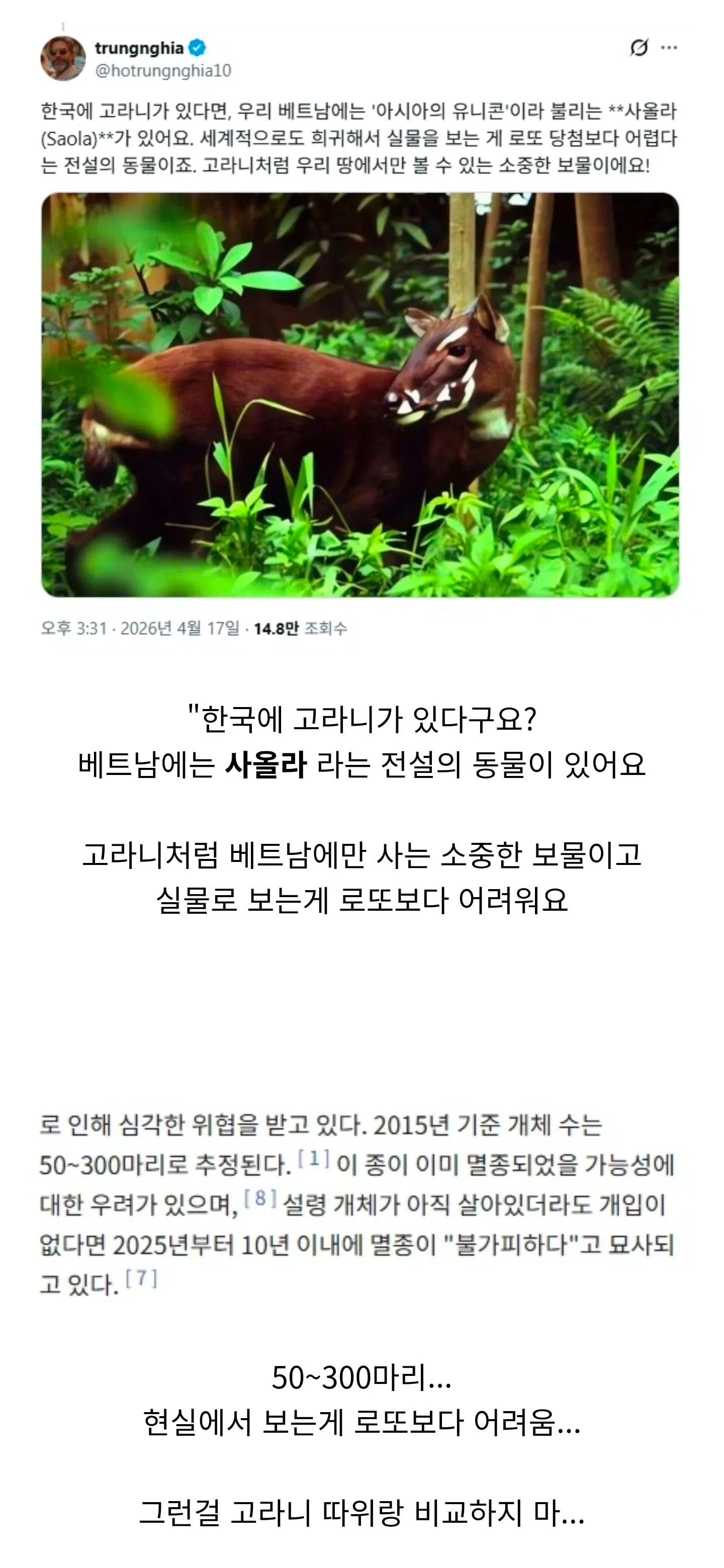 한국에 고라니가 있다니까 베트남의 반응