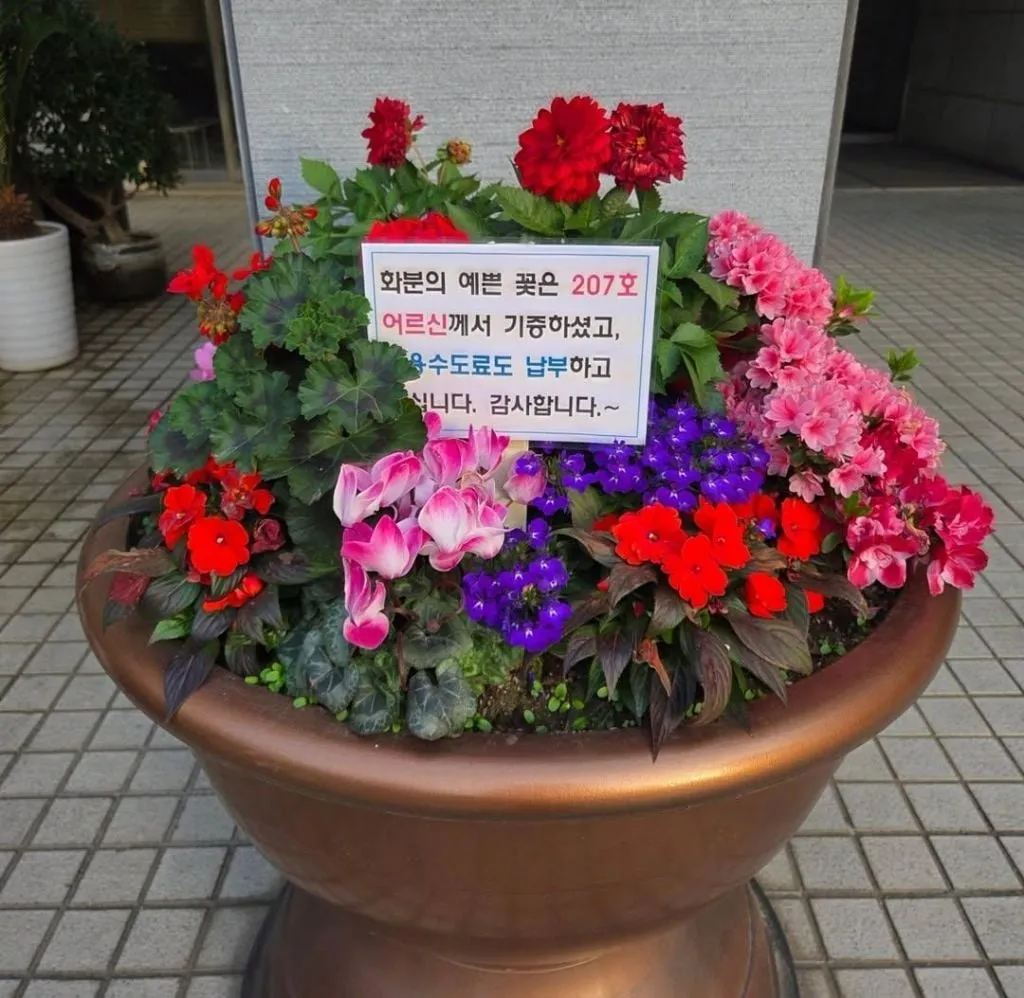 꽃 화분 기증 후 민원 차단까지 하신 어르신