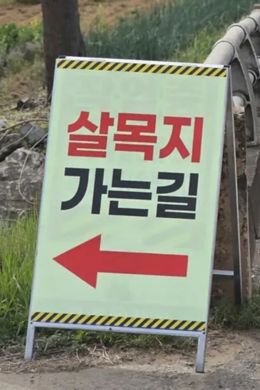 가지 말라는 살목지 근황.