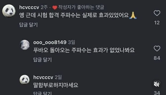 푸바오 돌아오는 주파수