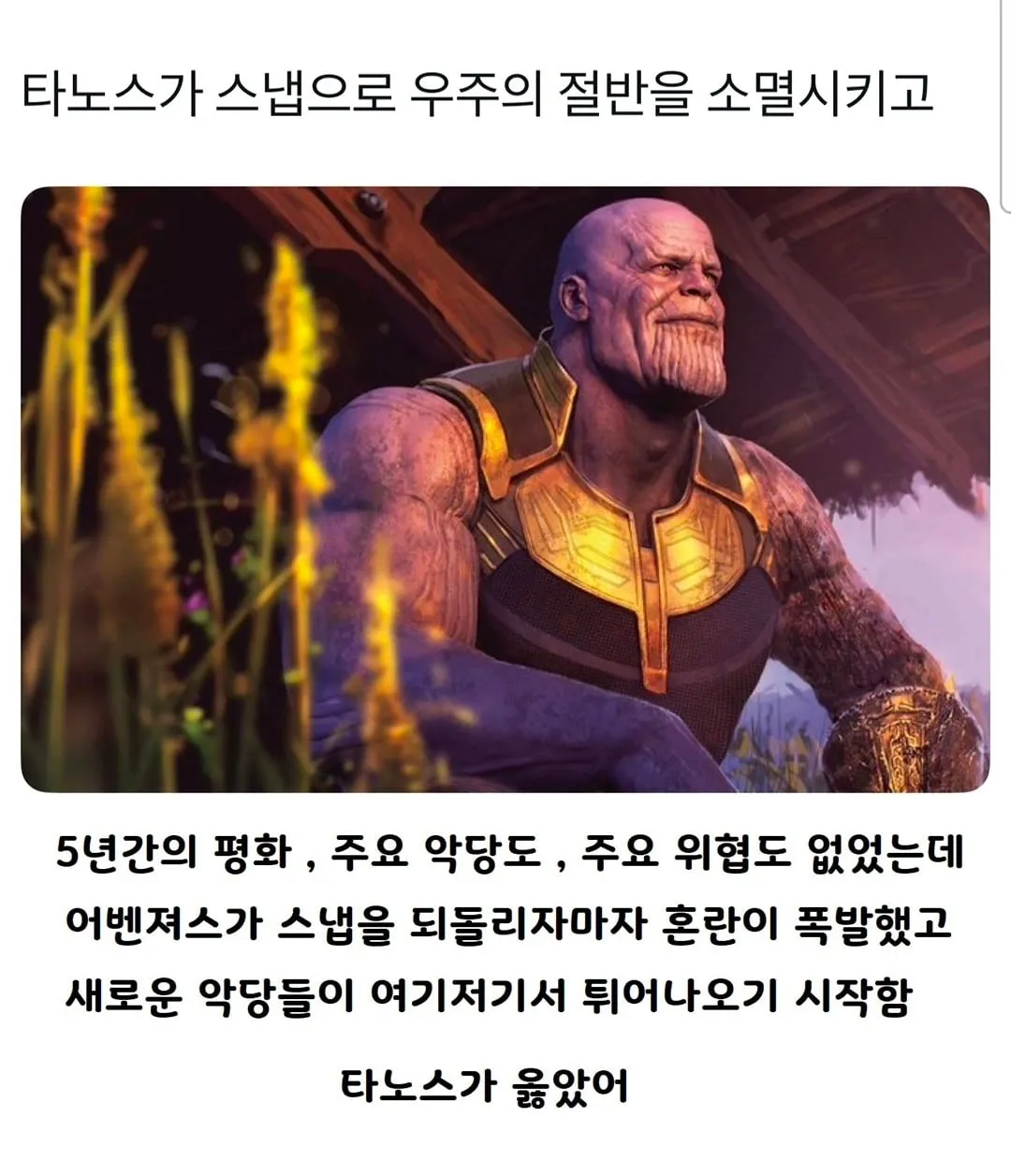 타노스가 스냅으로 우주의 절반 소멸시키고.jpg
