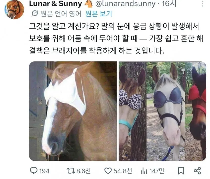 싱글벙글 브래지어 활용법..jpg
