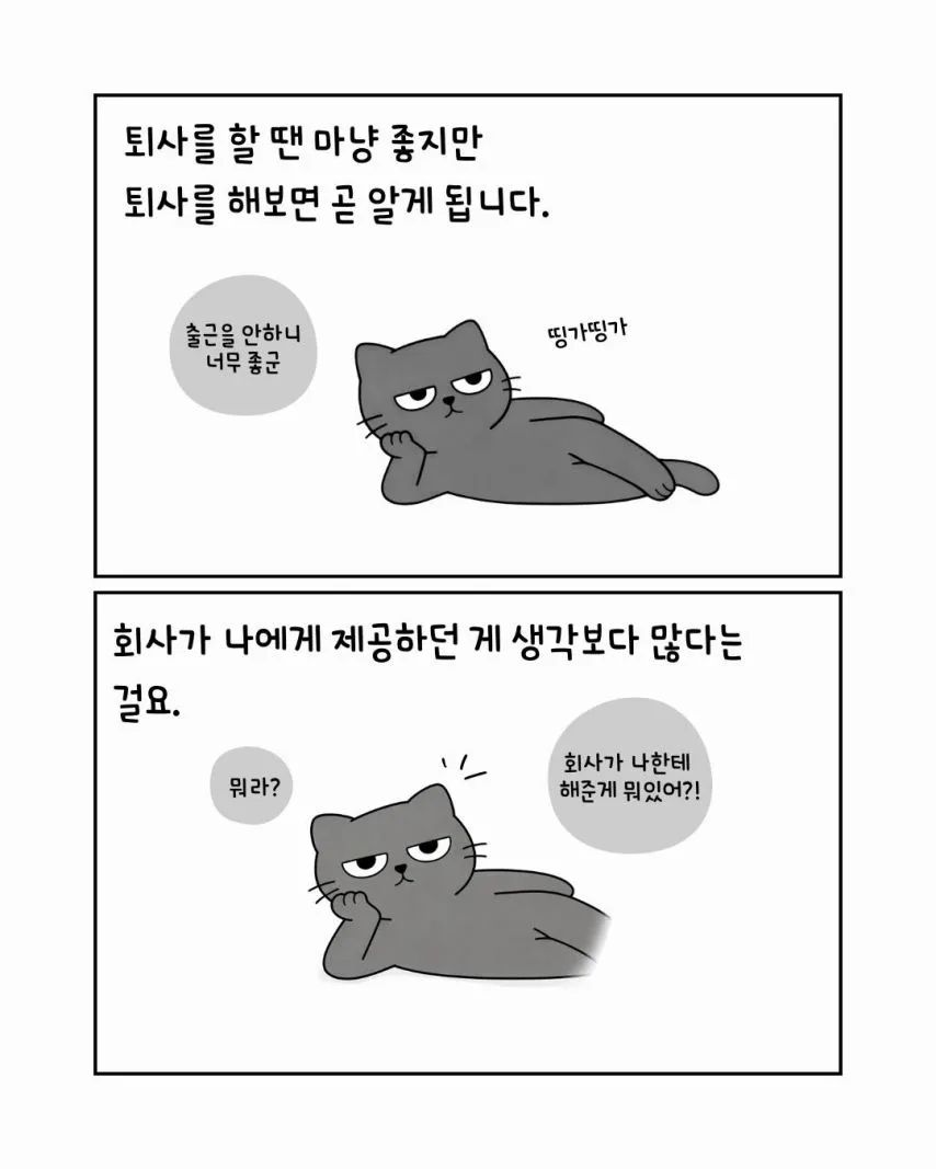 퇴사하고 나서 알게되는것들.jpg