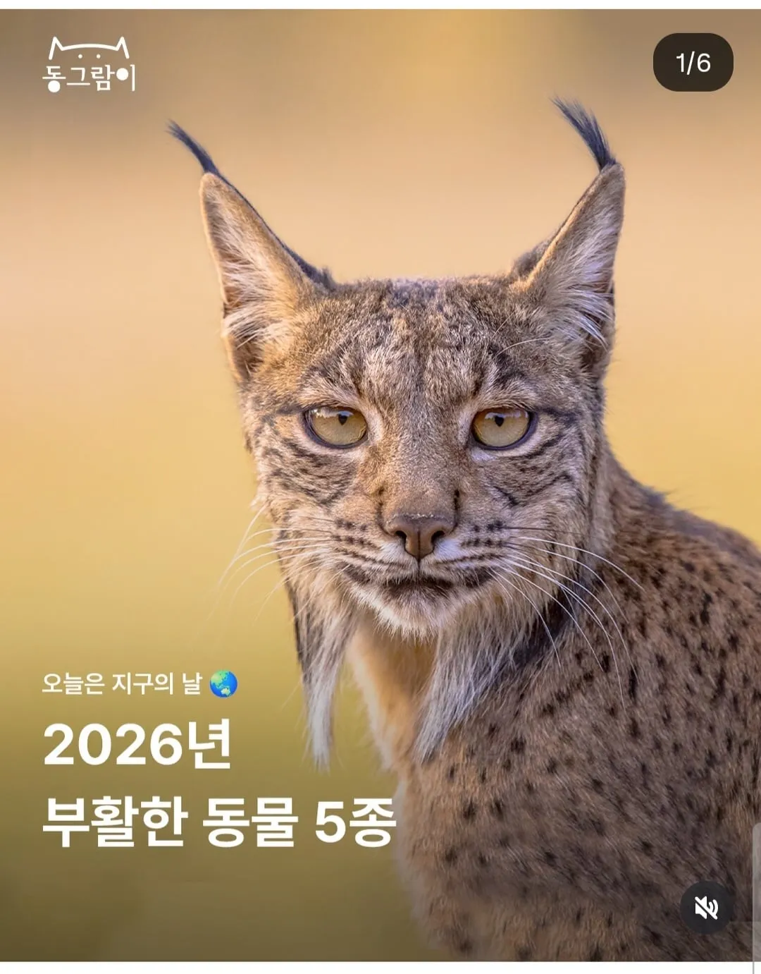 현재 부활한 야생동물 5종
