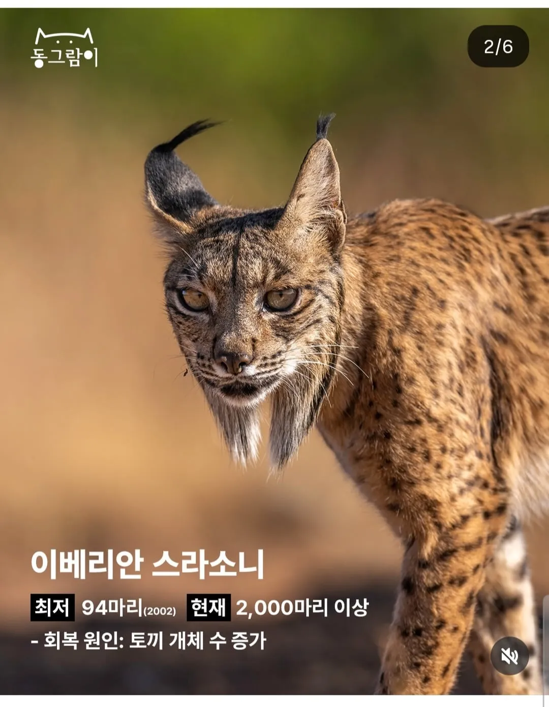 현재 부활한 야생동물 5종
