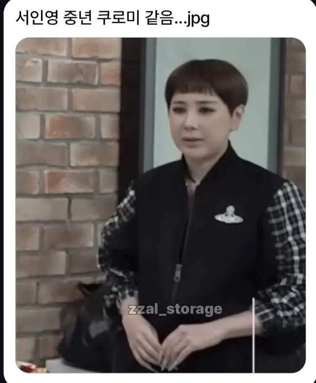 서인영 새 별명