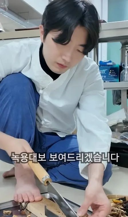 궁중요리 유튜버가 녹용을 다루는 법