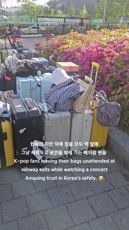 대한민국 치안 현실을 잘 알고있는 외국인들