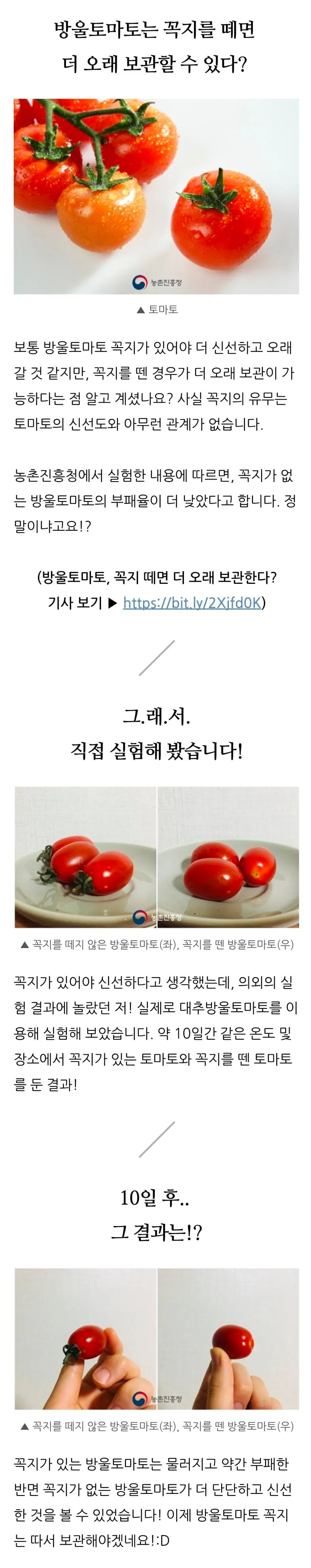 방울토마토는 꼭지를 떼면 더 오래 보관할 수 있다는거 몇살에 알게됐어?