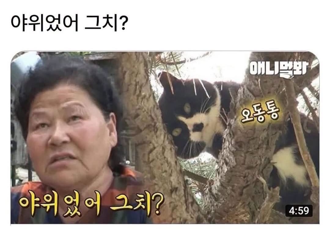 사람 동물 차별 없는 어르신들 시각