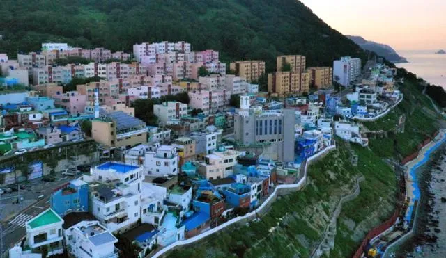 외국인들이 부산 오면 환장하는 이유