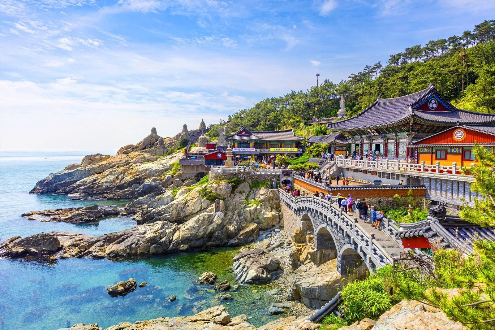 외국인들이 부산 오면 환장하는 이유