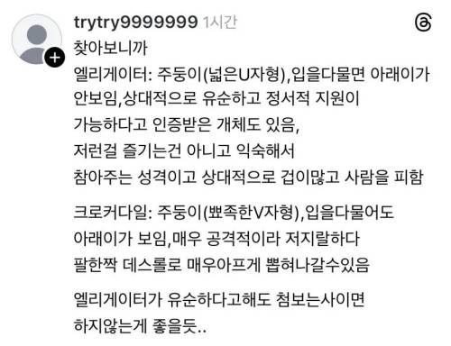악어를 캔따개쯤으로 생각하는 플로리다 주민들.mp4