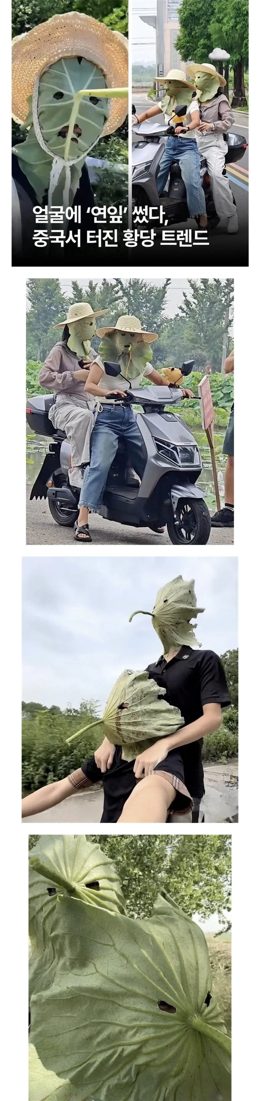 중국에서 퍼지고 있다는 햇빛차단법.