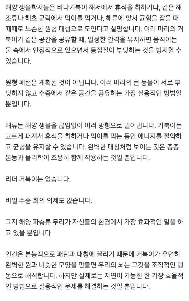 거북이들 뭐하는거지?