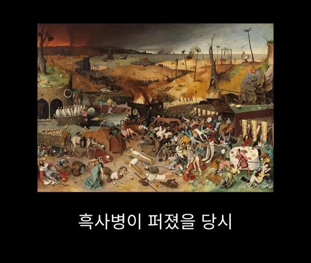 프랑스 남부에서 흑사병을 퇴치하여 왕실 의사가 된 사람