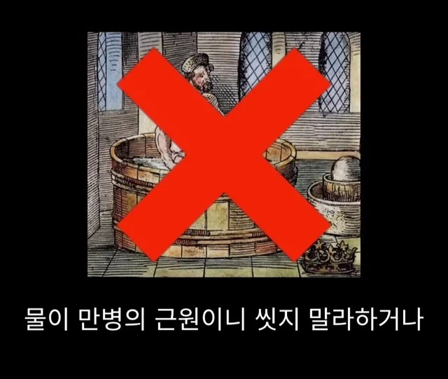 프랑스 남부에서 흑사병을 퇴치하여 왕실 의사가 된 사람