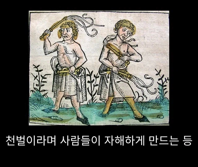 프랑스 남부에서 흑사병을 퇴치하여 왕실 의사가 된 사람