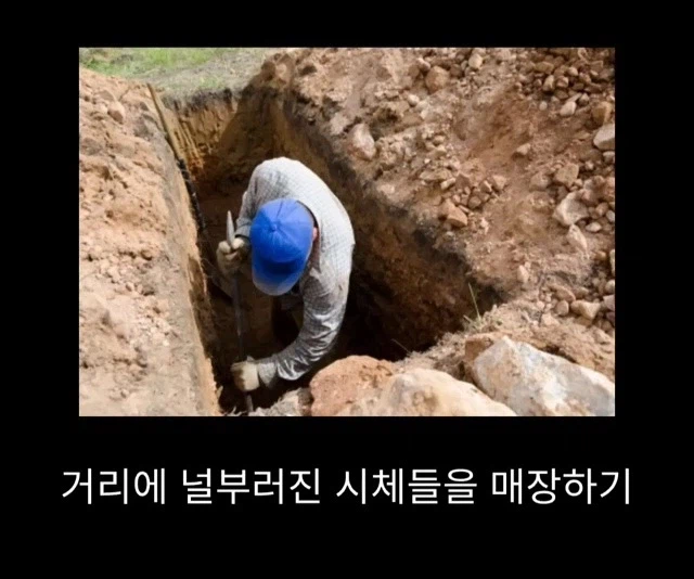 프랑스 남부에서 흑사병을 퇴치하여 왕실 의사가 된 사람