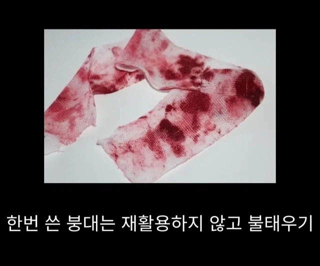 프랑스 남부에서 흑사병을 퇴치하여 왕실 의사가 된 사람