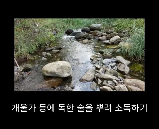 프랑스 남부에서 흑사병을 퇴치하여 왕실 의사가 된 사람