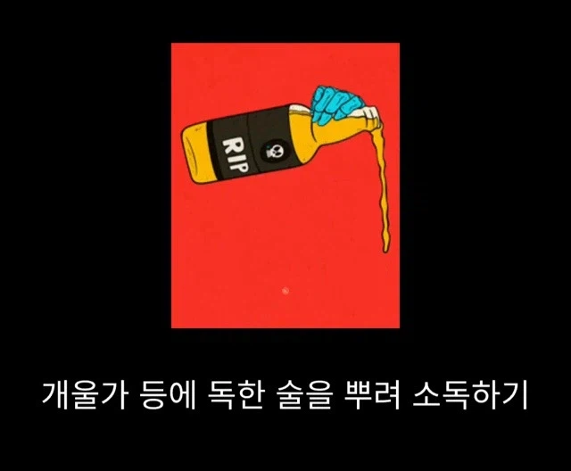 프랑스 남부에서 흑사병을 퇴치하여 왕실 의사가 된 사람