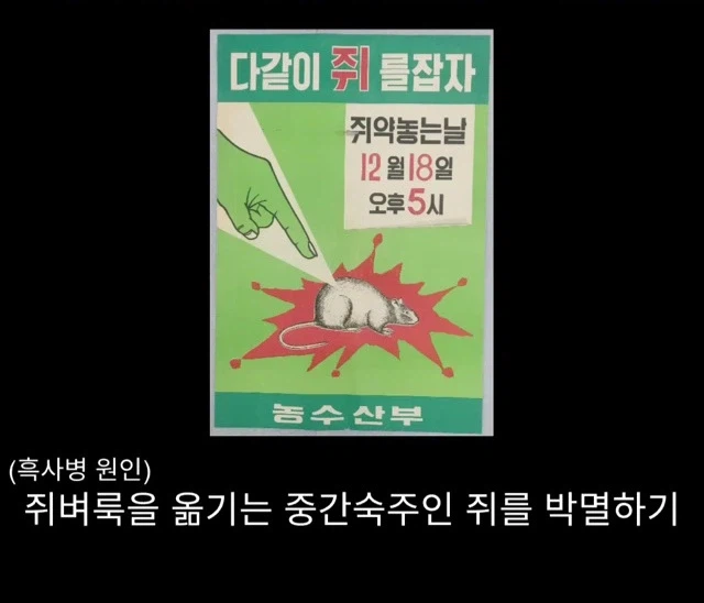 프랑스 남부에서 흑사병을 퇴치하여 왕실 의사가 된 사람