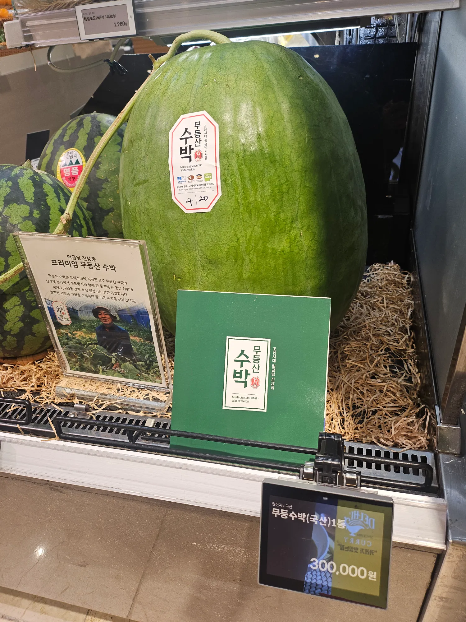 수박 1개 = 30만원