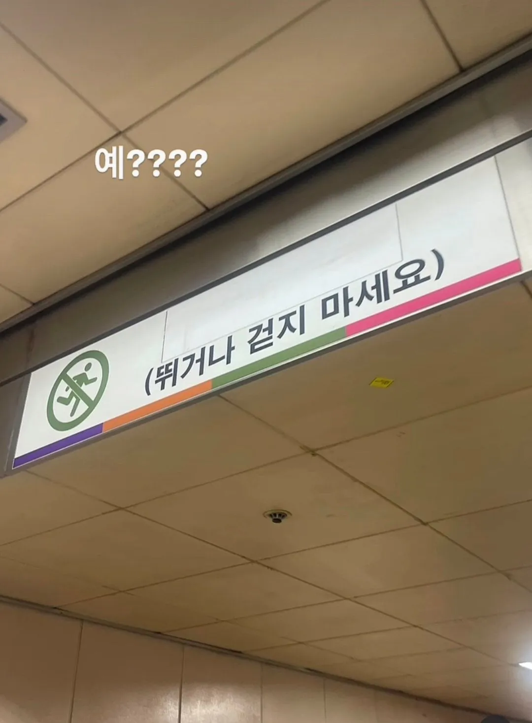 반요면 반요답게 땅을 기어라!!