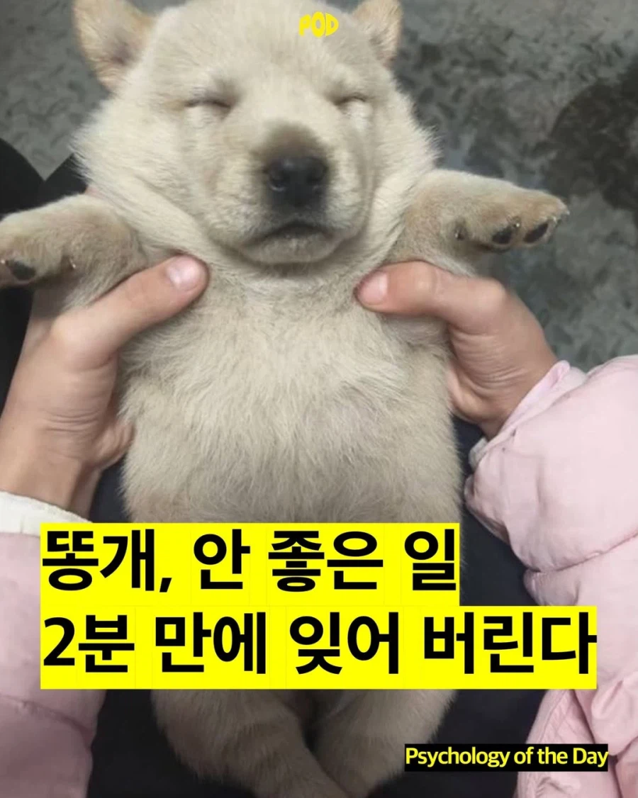 논문으로 발표된 개들이 눈치보는 이유
