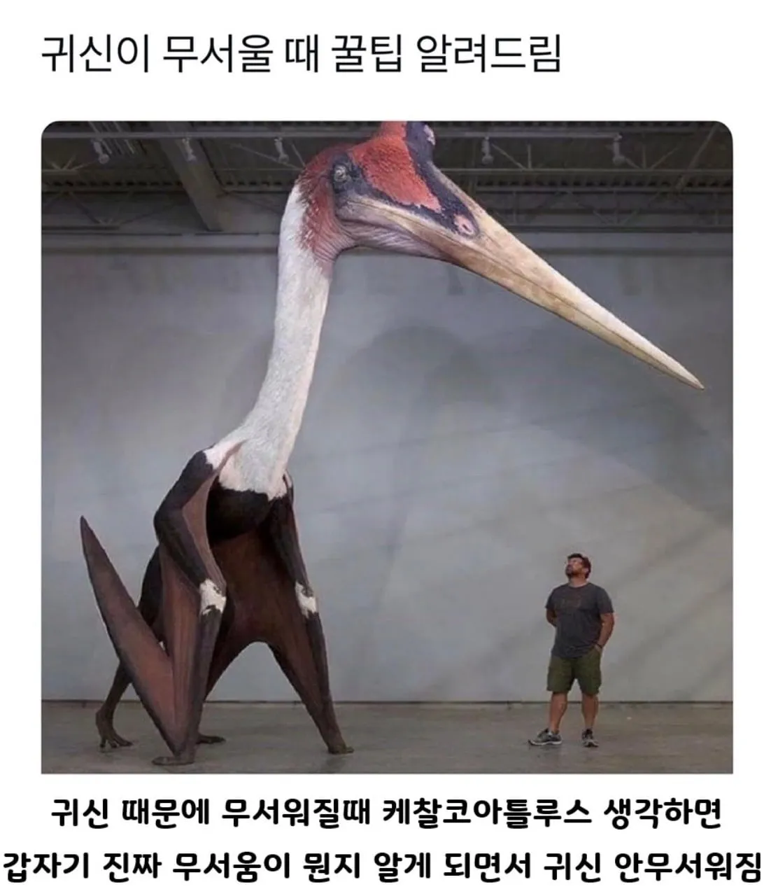 귀신이 무서울 때 꿀팁.jpg