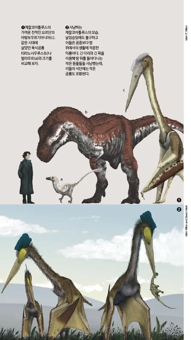 귀신이 무서울 때 꿀팁.jpg
