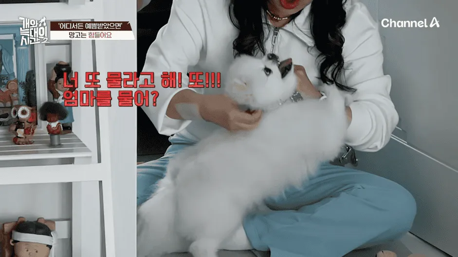 강아지 정신병 걸리게 만드는법