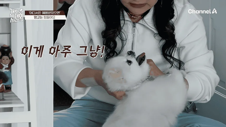 강아지 정신병 걸리게 만드는법