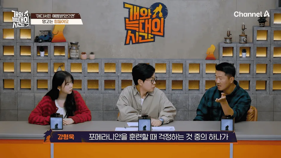 강아지 정신병 걸리게 만드는법