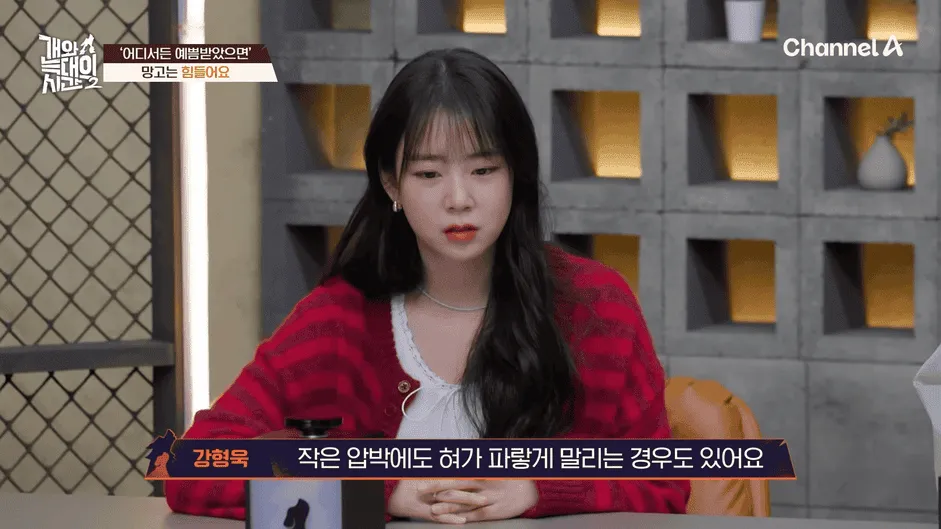 강아지 정신병 걸리게 만드는법