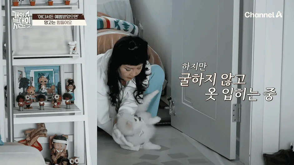 강아지 정신병 걸리게 만드는법