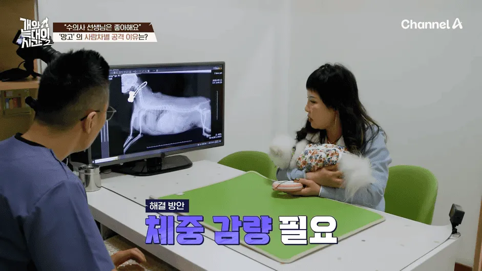 강아지 정신병 걸리게 만드는법