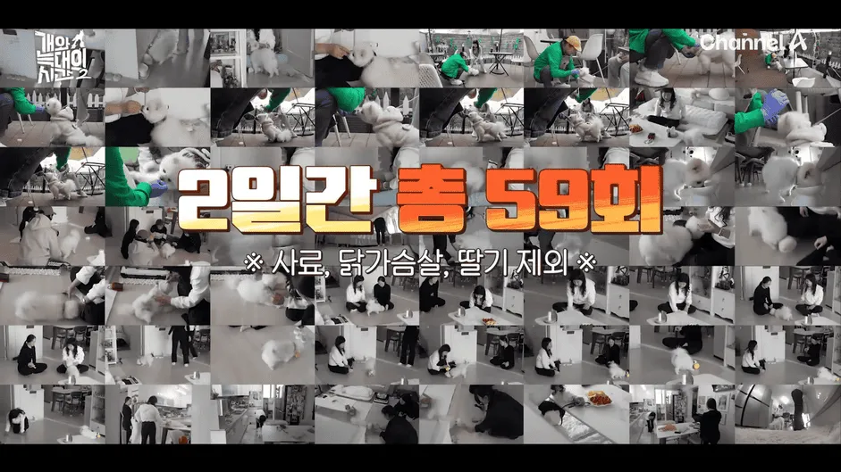 강아지 정신병 걸리게 만드는법