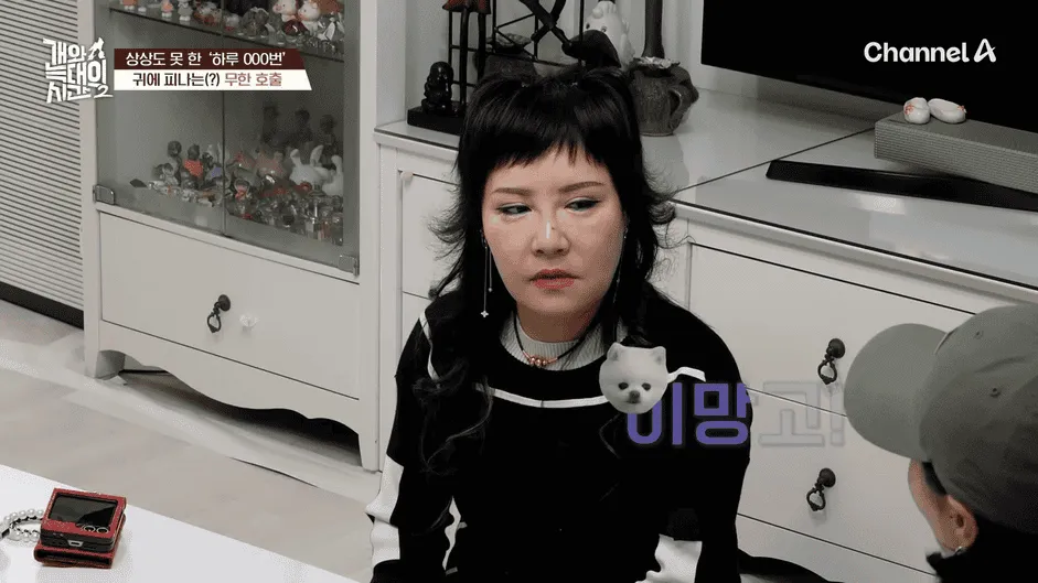 강아지 정신병 걸리게 만드는법