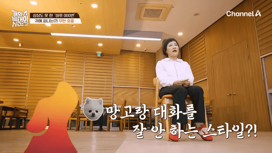 강아지 정신병 걸리게 만드는법