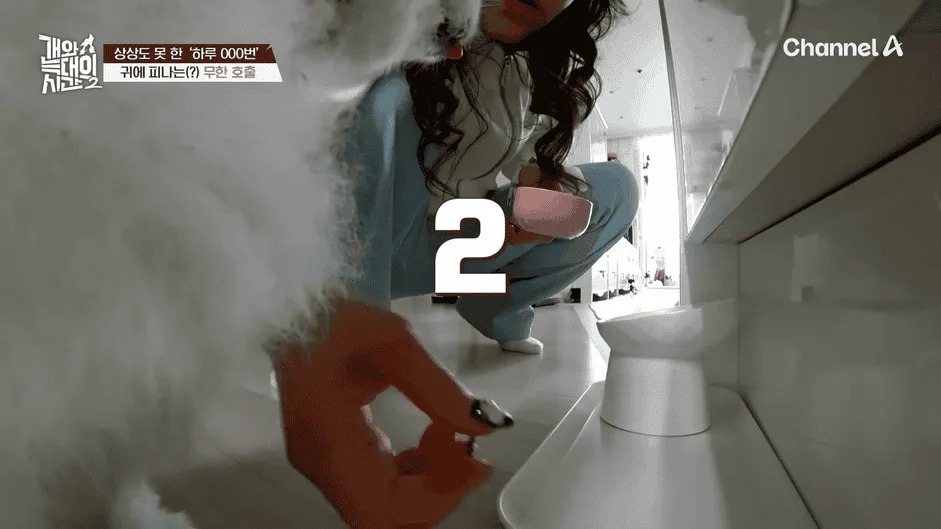 강아지 정신병 걸리게 만드는법