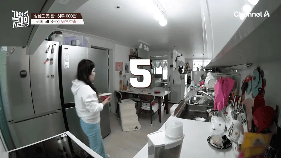 강아지 정신병 걸리게 만드는법