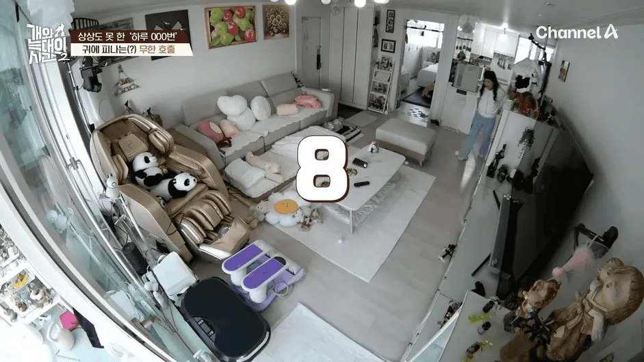 강아지 정신병 걸리게 만드는법