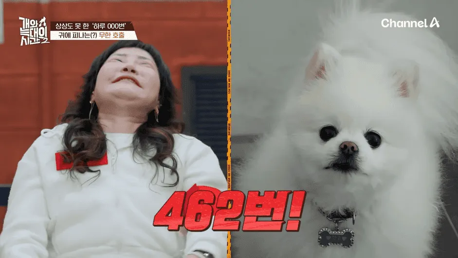 강아지 정신병 걸리게 만드는법