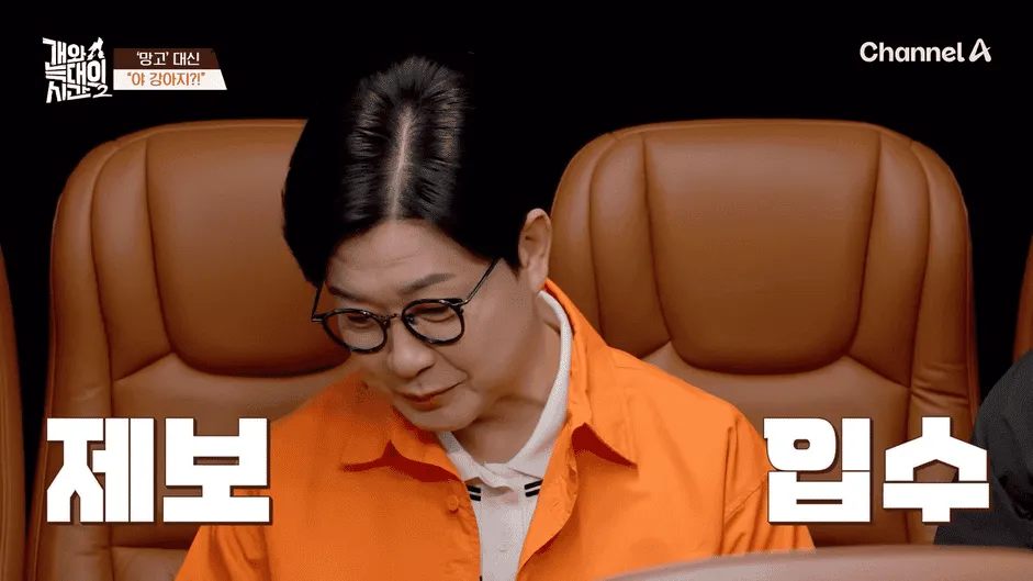 강아지 정신병 걸리게 만드는법