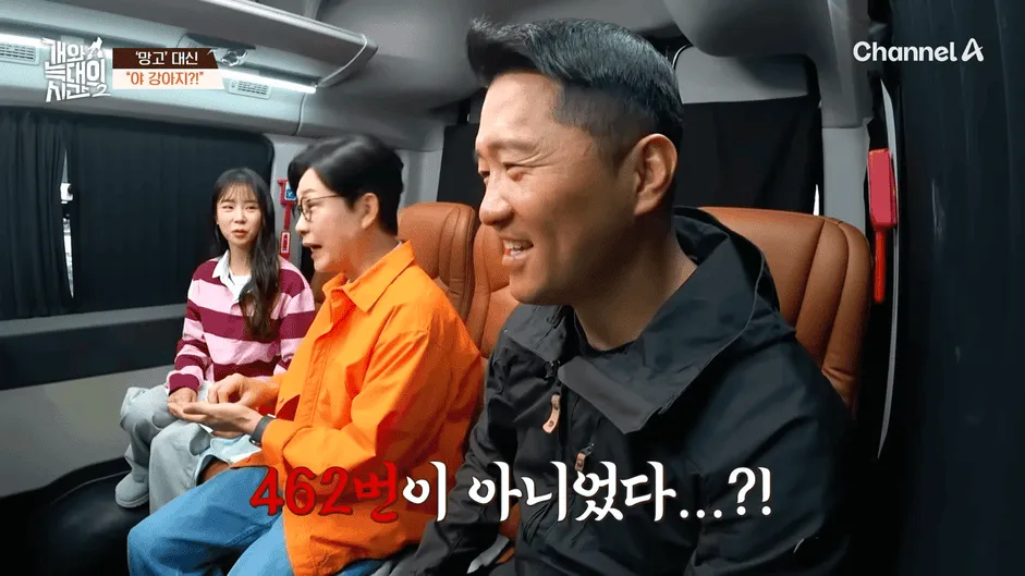 강아지 정신병 걸리게 만드는법