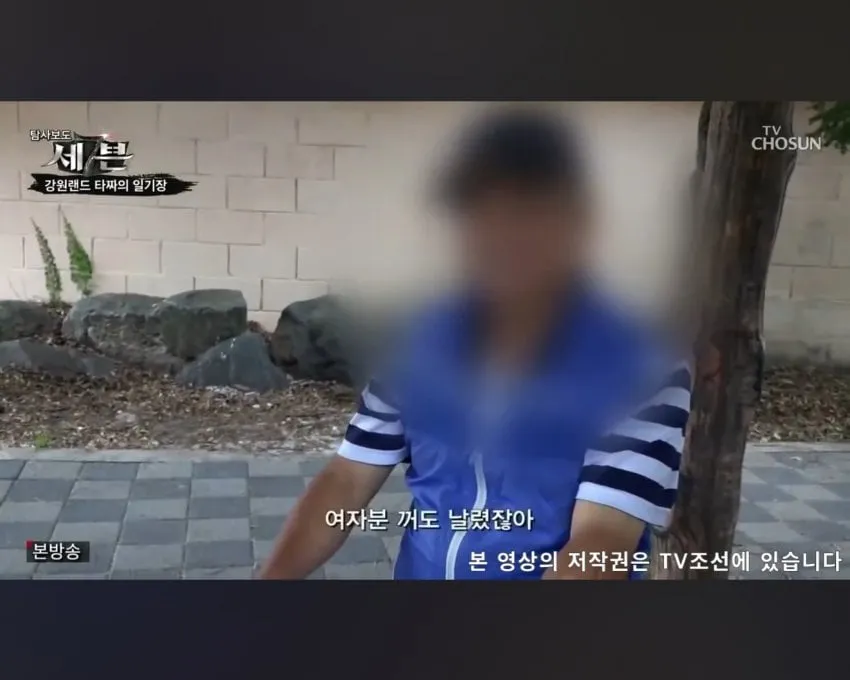 정선에 있다는 국내 최고가 스터디그룹.JPG