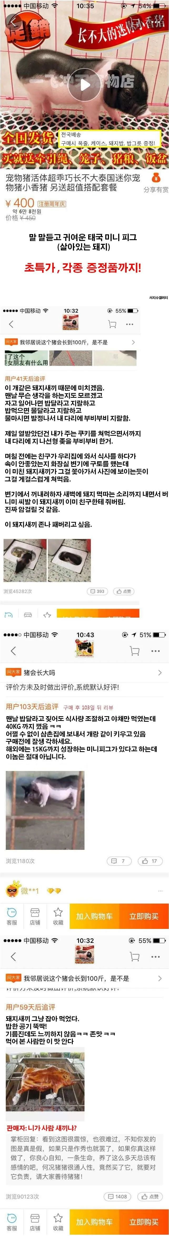 타오바오 애완돼지 후기.jpg